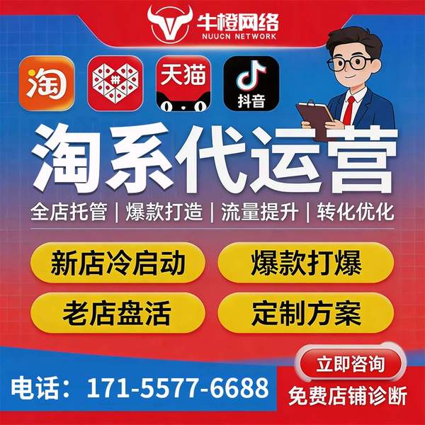 兴平电商代运营