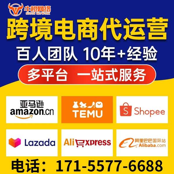 兴平电商代运营