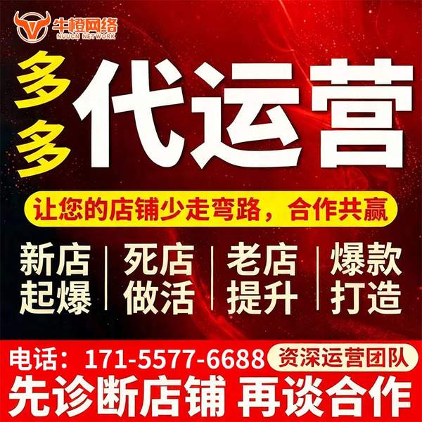 兴平电商代运营