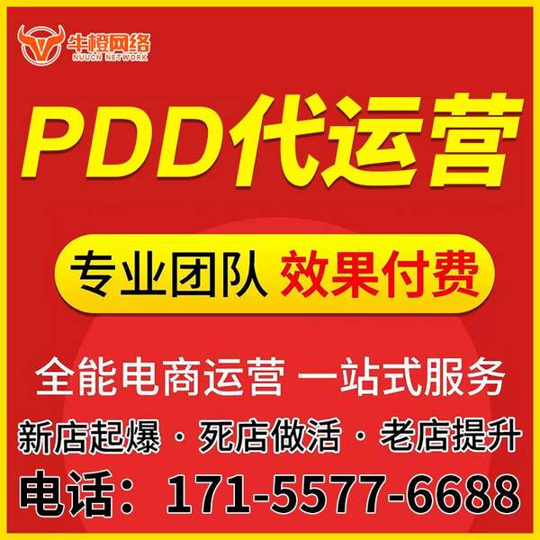 兴平电商代运营