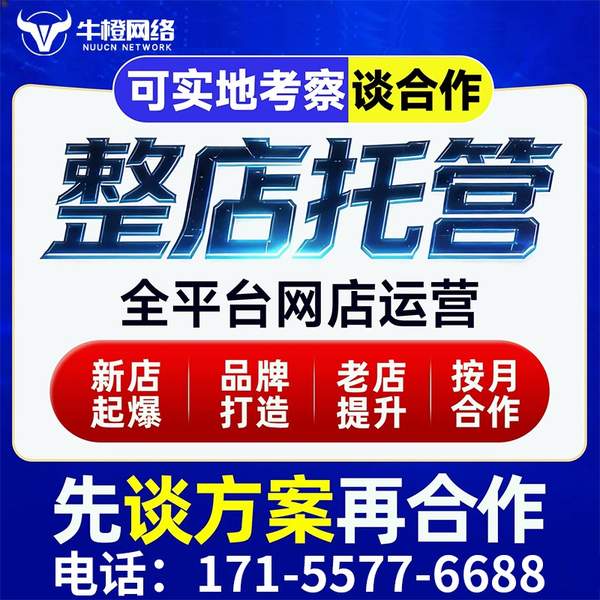 兴平电商代运营