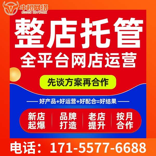 兴平电商代运营