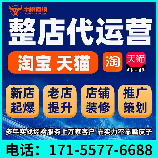 兴平电商代运营