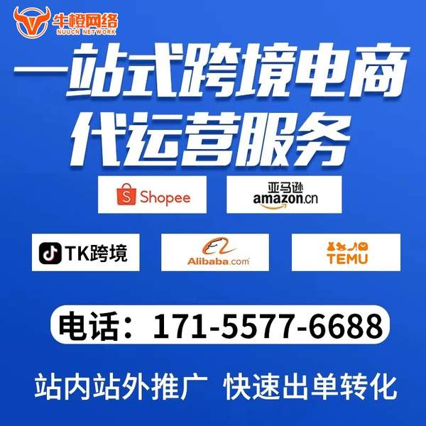兴平电商代运营