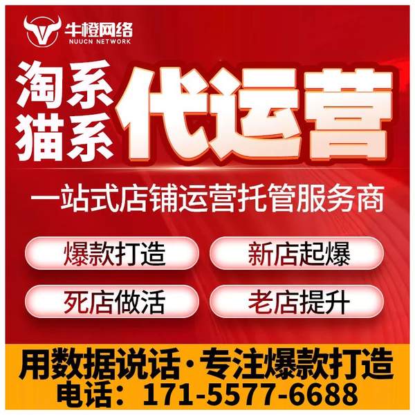兴平电商代运营